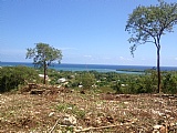 Residential lot for Sale in Trelawny, Jamaica